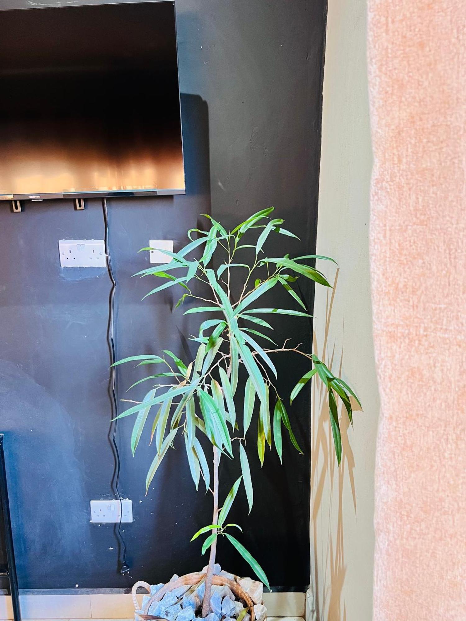 The Shed Venue & Boutique Hotel 릴롱웨 외부 사진